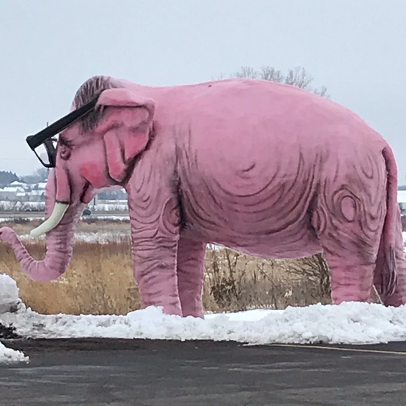 Meet your Posher, Matt - Picture 1 of 1